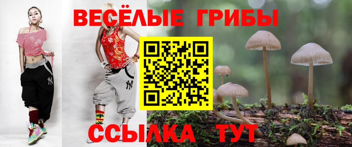 Псилоцибиновые грибы MAGIC MUSHROOMS Тамбов